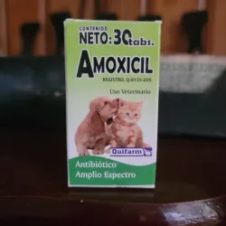 Amoxicil 30tab