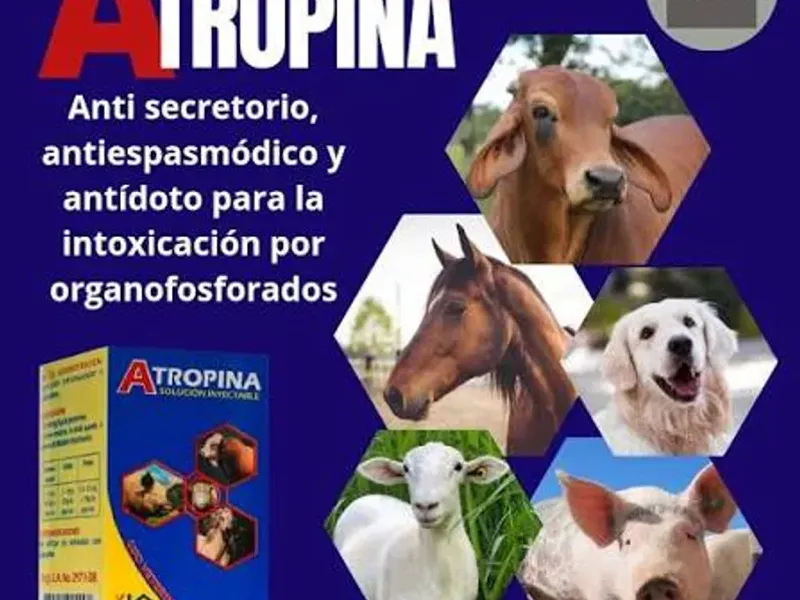 Antiesposmadico