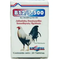 B12 de 5500 