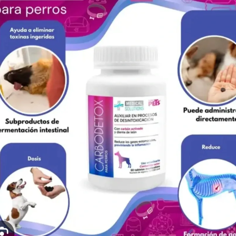 Carbodetox 60 tabletas 
