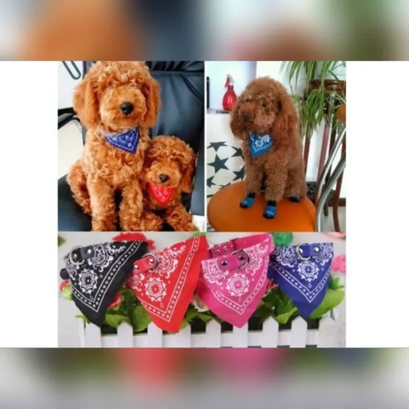 Collar de Bandana para perros medianos 