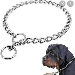 Collar de obediencia 