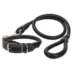 Collar más correa para perros grandes 