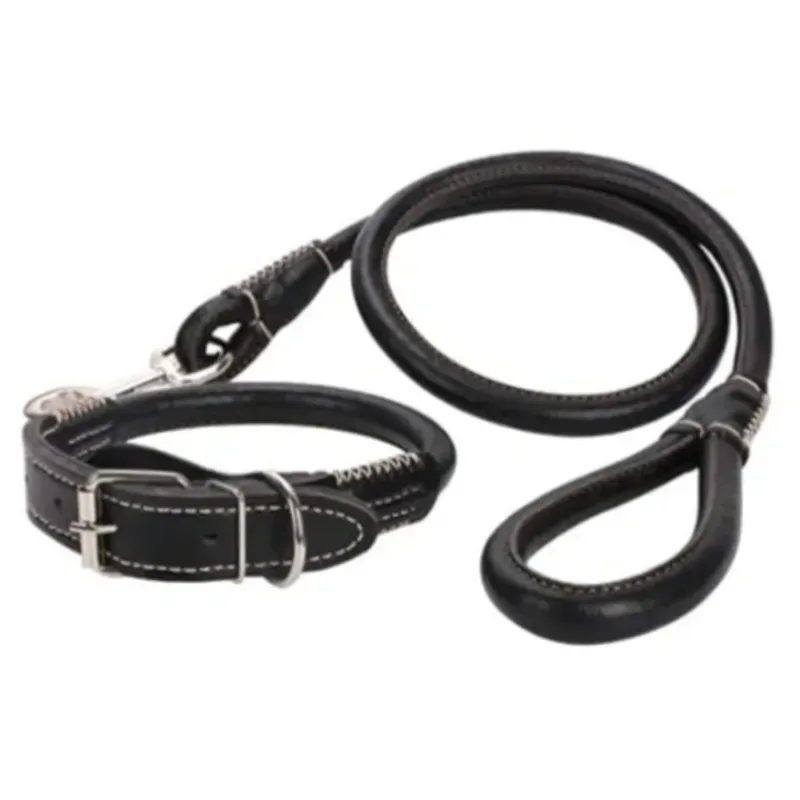 Collar más correa para perros grandes 