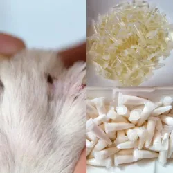 Combo #2