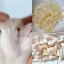 Combo #8