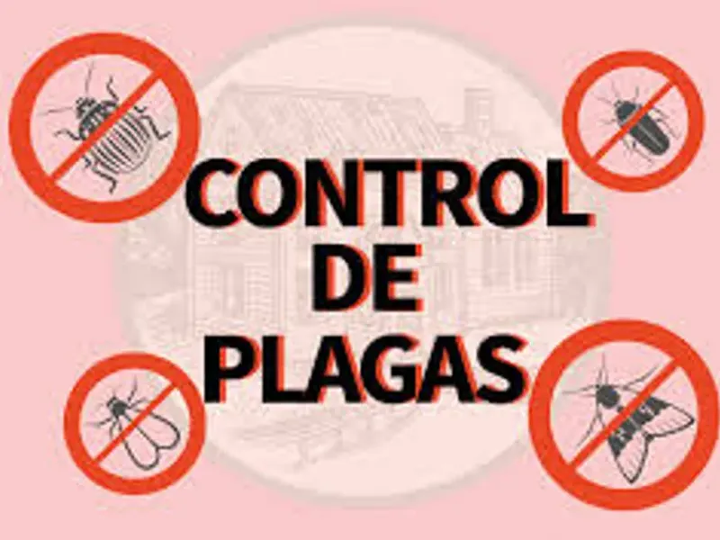 Control de Plagas