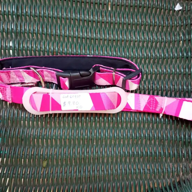 Correa con collar 60910