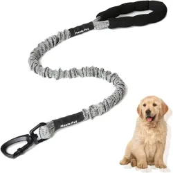 60930 Correa para perros 