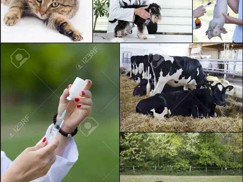 Estimulantes Metabólicos