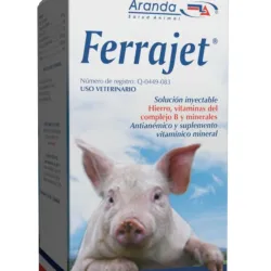 Ferrajet 100 ML