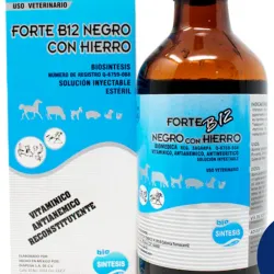 FORTE B12 NEGRO CON HIERRO 100 ML 