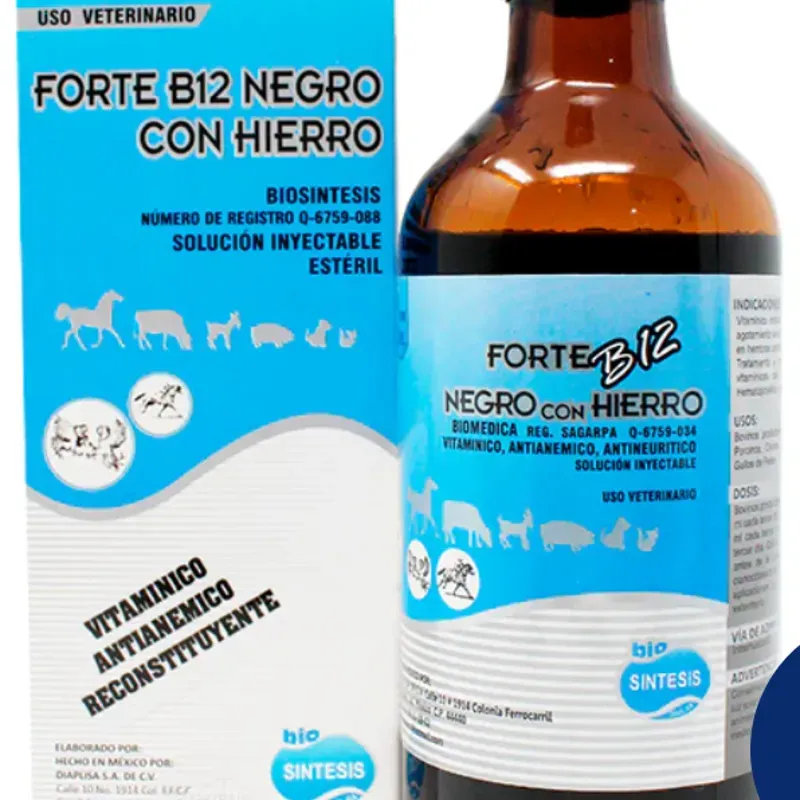 FORTE B12 NEGRO CON HIERRO 100 ML 