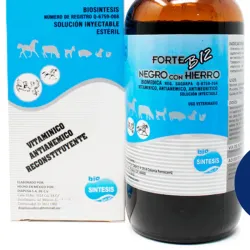 FORTE B12 NEGRO CON HIERRO