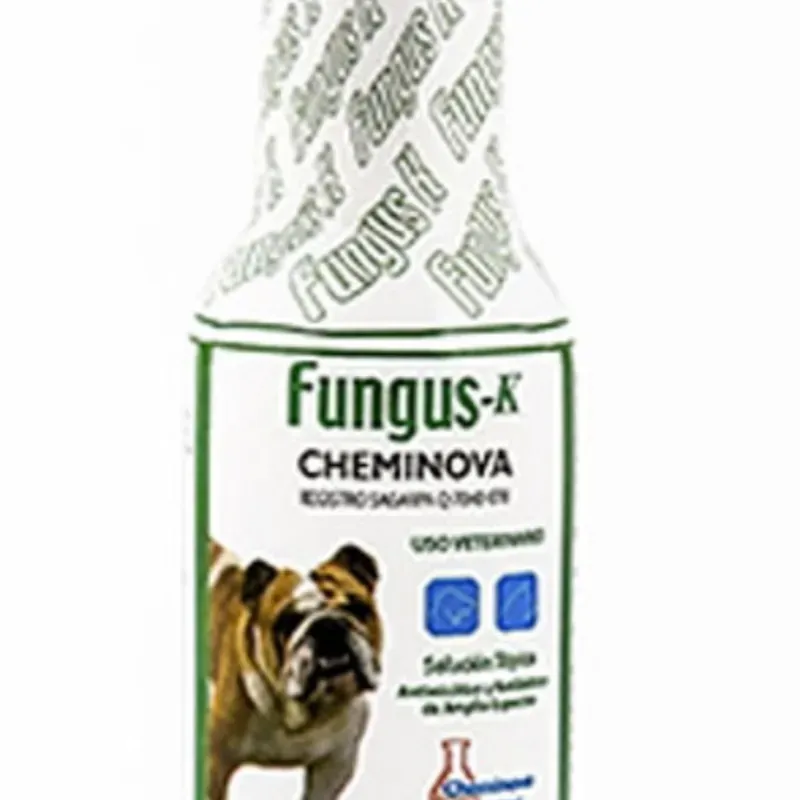 Fungus K 