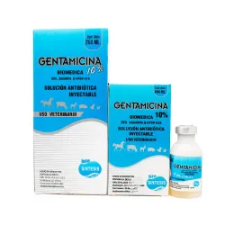 Gentamicina 10%   100 ml