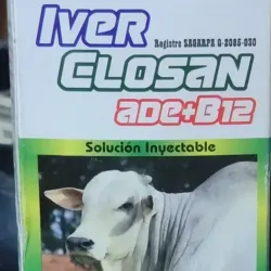 Iver Closan ADE+B12 de 100 ML
