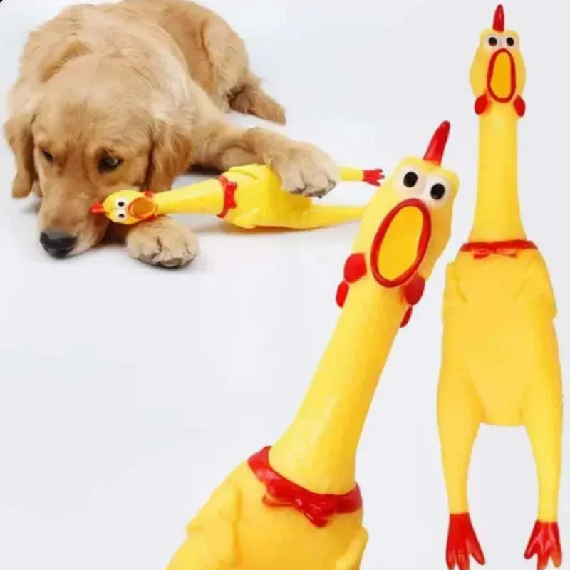 Juguete chillón en forma de gallina 