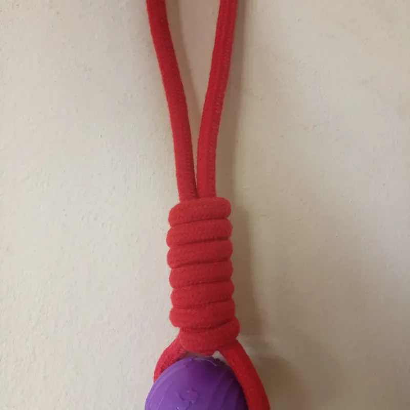 Juguete de cuerda 