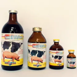 Lamicil 100/Forte 100ml