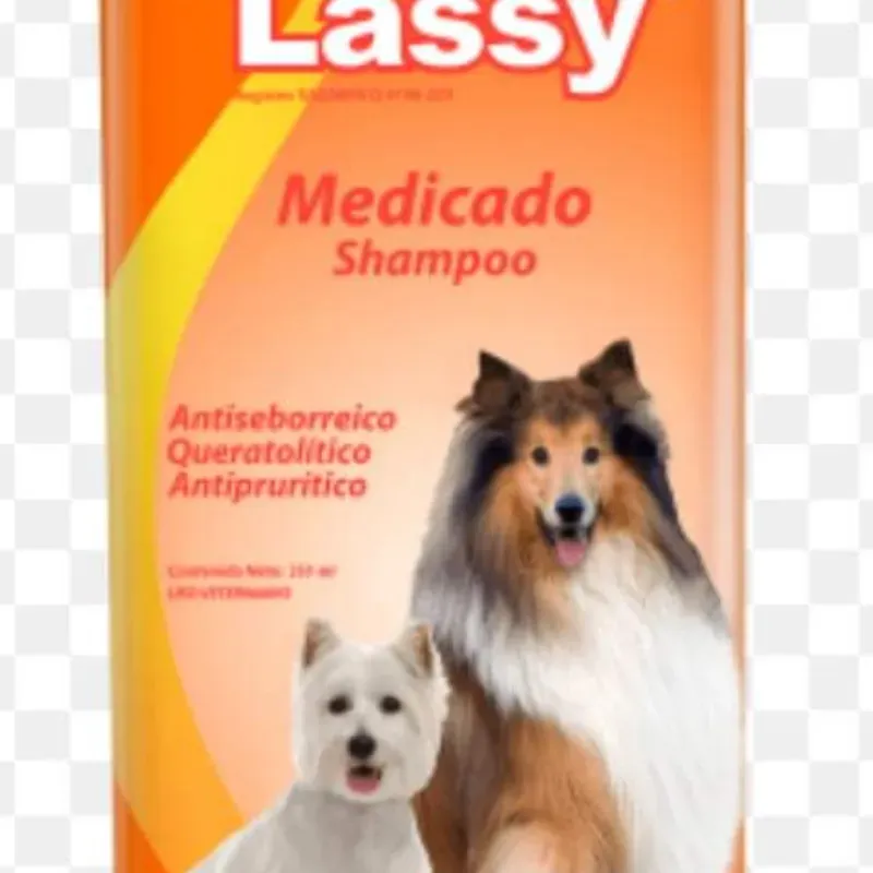 LASSY SHAMPOO