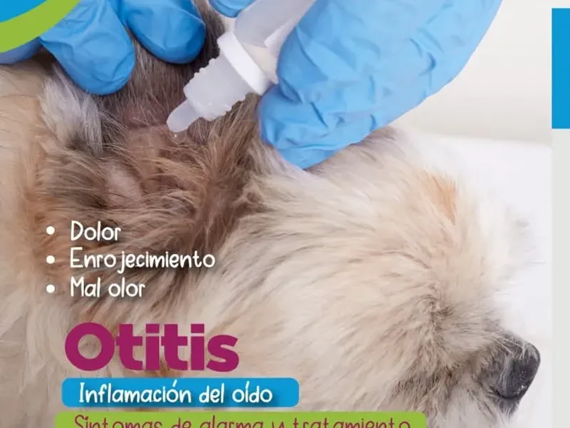 Ótica/Oftalmológica