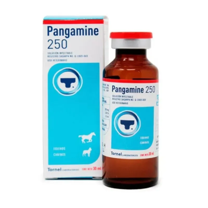 Pangamine 250 Vitamina B 15