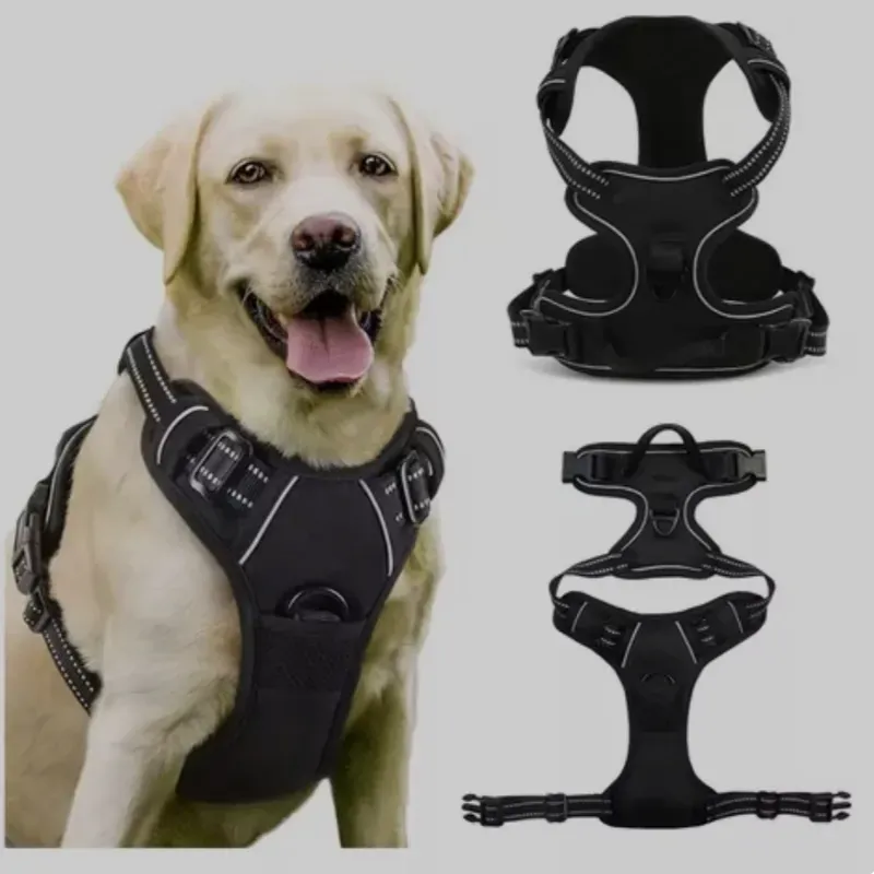 Pechera para perros grandes 