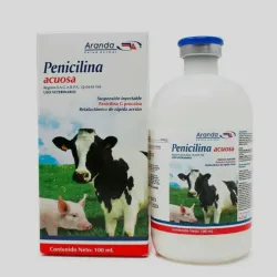Penicilina Acuosa de 100 ML 