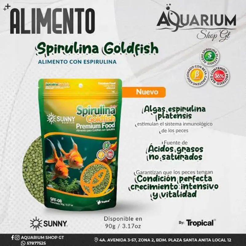 Sunny Spirulina Goldfish
