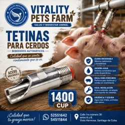TETINA PARA CERDOS (1400cup)
