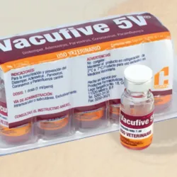 Vacufive 5V