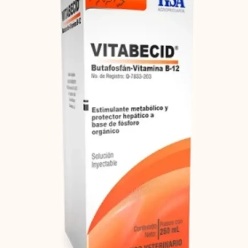 Vitabecid 100 ML