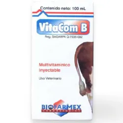 Vitacom B 20ml