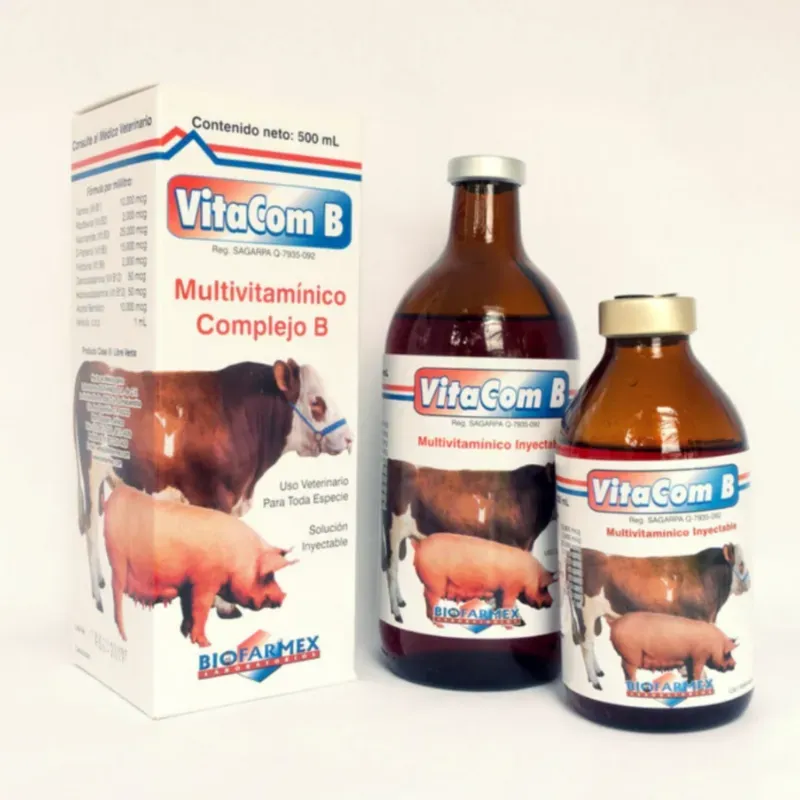 VitaCom B de 100 ML 