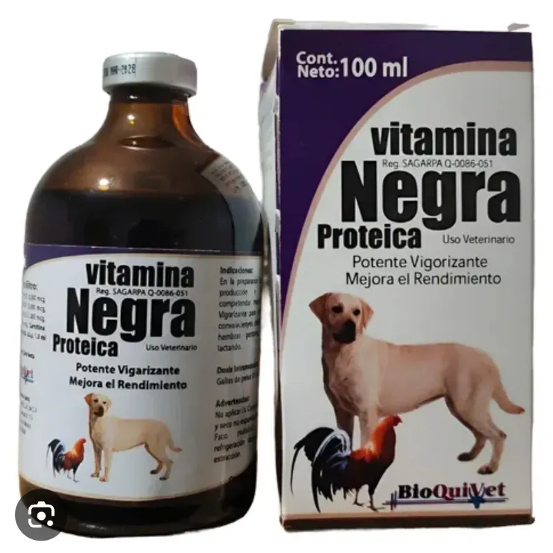 Vitamina Negra Proteica de 100 ML 