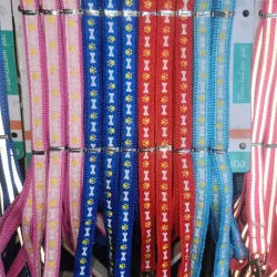 Blister de correa y pechera MD10039