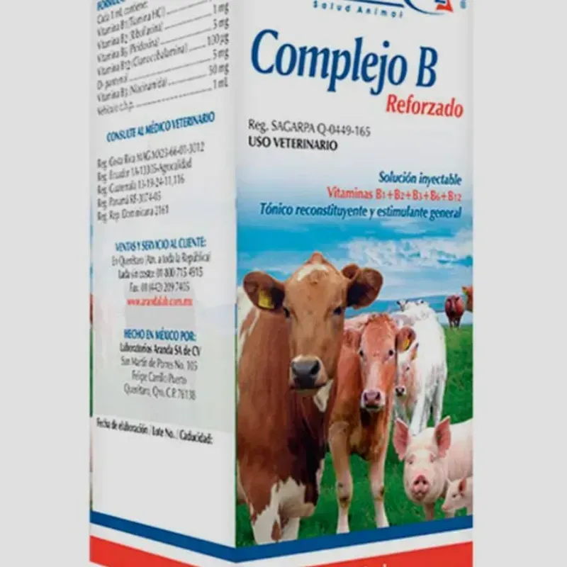 Complejo B Reforzado 50ml
