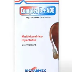 Complex B+ADE 100ml