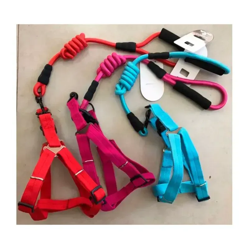 Correa con pechera 60914