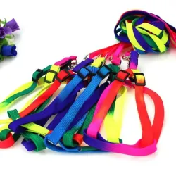 Correa con pechera 60935