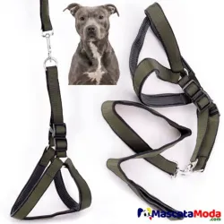 Correa con pechera 60942