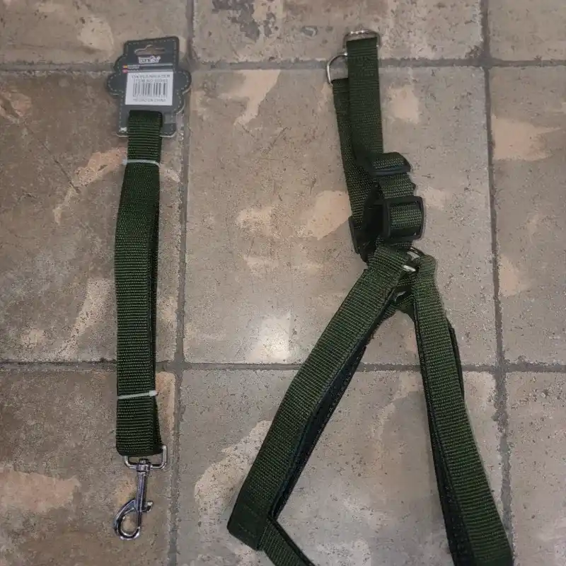 Correa con pechera 60943