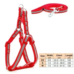 Correa con pechera MD10025