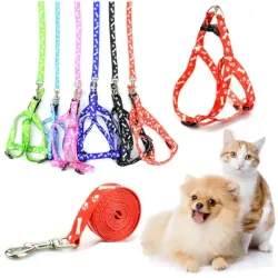 Correa con pechera MD10039