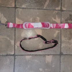 Correa y collar 60910