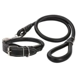 Correa y collar 61021