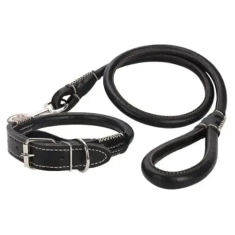 Correa y collar 61021