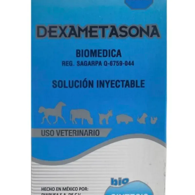 Dexametasona 21 100ml
