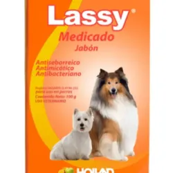 Lassy Jabón Medicado 